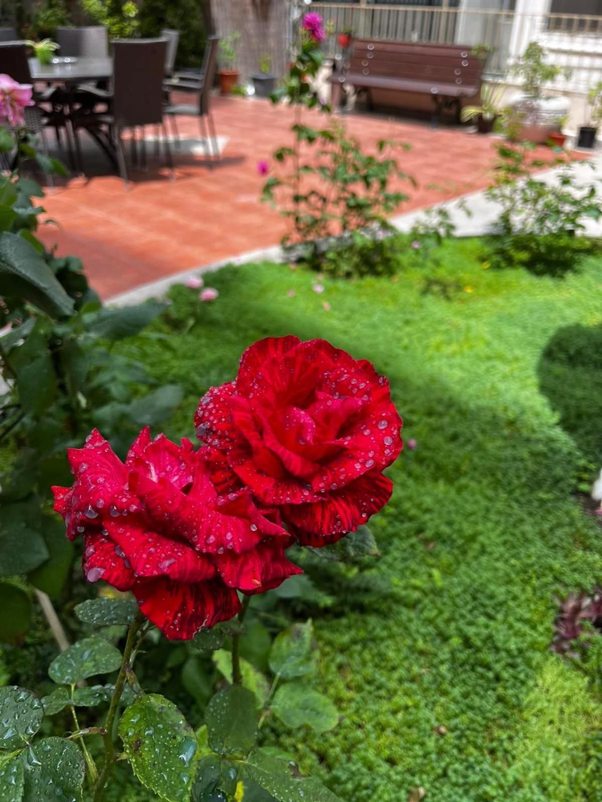 Rose Garden Omax Apartments Slantschew brjag Exterior foto